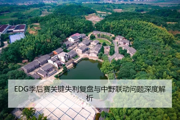 EDG季后赛关键失利复盘与中野联动问题深度解析