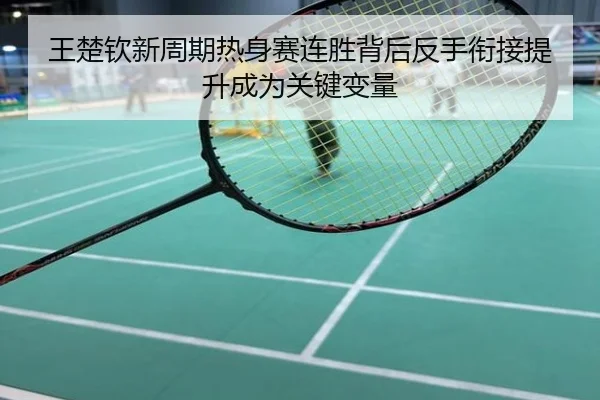 王楚钦新周期热身赛连胜背后反手衔接提升成为关键变量